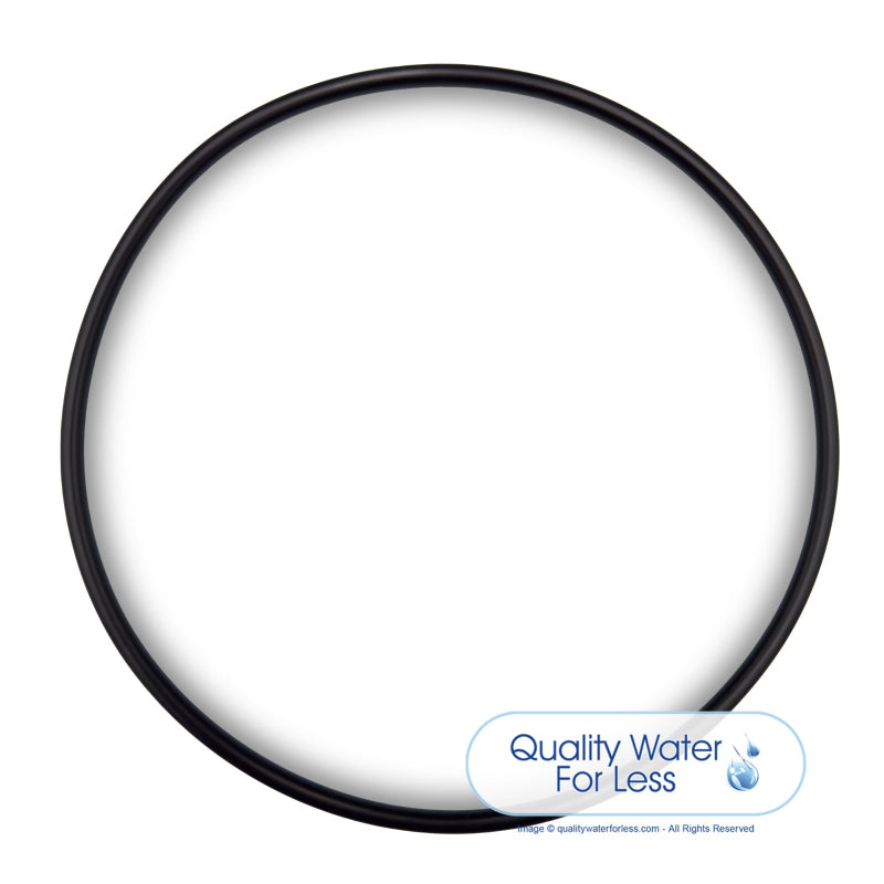 O-Ring, Pentek Big Blue Series - 151122 | Filters & Housings | qualitywaterforless.com